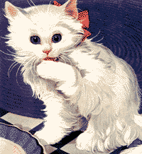 katze putzen.gif (35504 Byte)