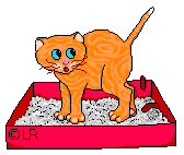 n%20anluorkatpoep.gif (22790 Byte)