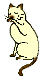 n%20siam3.gif (5289 Byte)