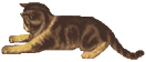 a_kneading_2.gif (9463 Byte)