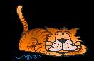 cat_23.gif (4224 Byte)
