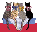 catmix59.gif (12163 Byte)