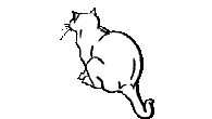 whitecat.gif (10819 Byte)