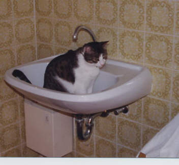 Waschbecken.jpg (16087 Byte)