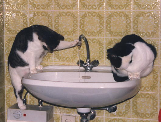 Wasserspiele.JPG (40314 Byte)
