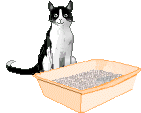 a_sandcastle.gif (24628 Byte)