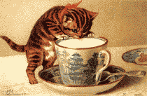 cat_08.gif (42079 Byte)