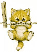 cat_136.gif (21658 Byte)