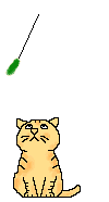cat_33.gif (2561 Byte)