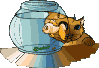 cat_36.gif (17112 Byte)