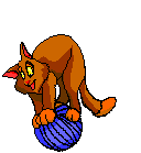 cat_46.gif (11776 Byte)