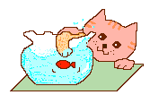 cat_59.gif (4962 Byte)
