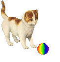 cat_93.gif (14936 Byte)