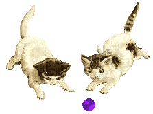 cat_94.gif (20084 Byte)