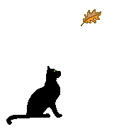 cat_97.gif (4767 Byte)