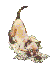 chatpapier.gif (9013 Byte)