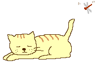 fliege.gif (18696 Byte)