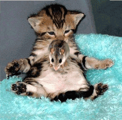 ka193.gif (61367 Byte)