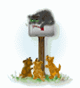 katze_135.gif (11738 Byte)