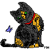 schmetterling.gif (3497 Byte)