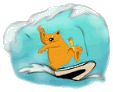 surfcat.gif (22253 Byte)