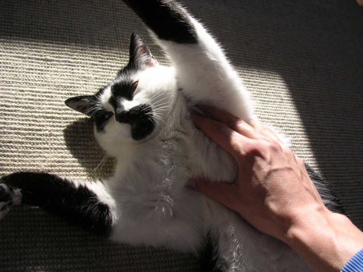 Masaaki 2.jpg (410079 Byte)
