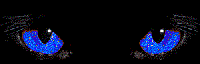 cat_129.gif (18192 Byte)