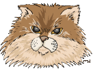 cat_28.gif (15046 Byte)