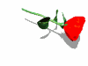 0028.gif (7626 Byte)